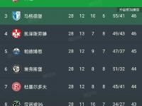 包含汉堡球队整体表现欠佳，遭遇连败颓势难挽回的词条