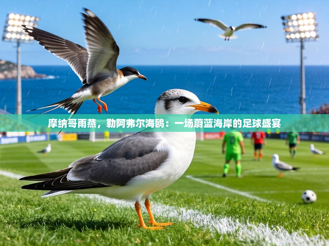 摩纳哥雨燕，勒阿弗尔海鸥：一场蔚蓝海岸的足球盛宴  第1张