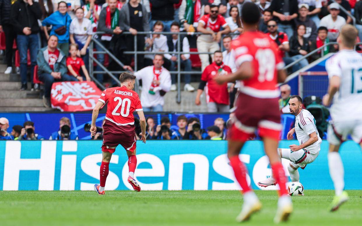 关于匈牙利国家队球员体能训练有成效,备战状态良好的信息 关于匈牙利国家队球员体能训练有成效,备战状态良好的信息