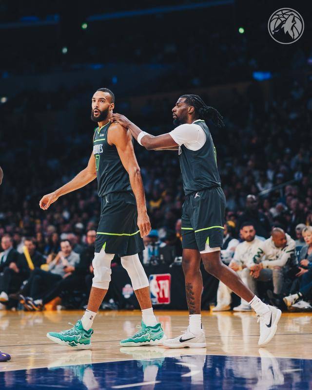 灰熊力克森林狼,戈贝尔独揽20个篮板 灰熊力克森林狼,戈贝尔独揽20个篮板