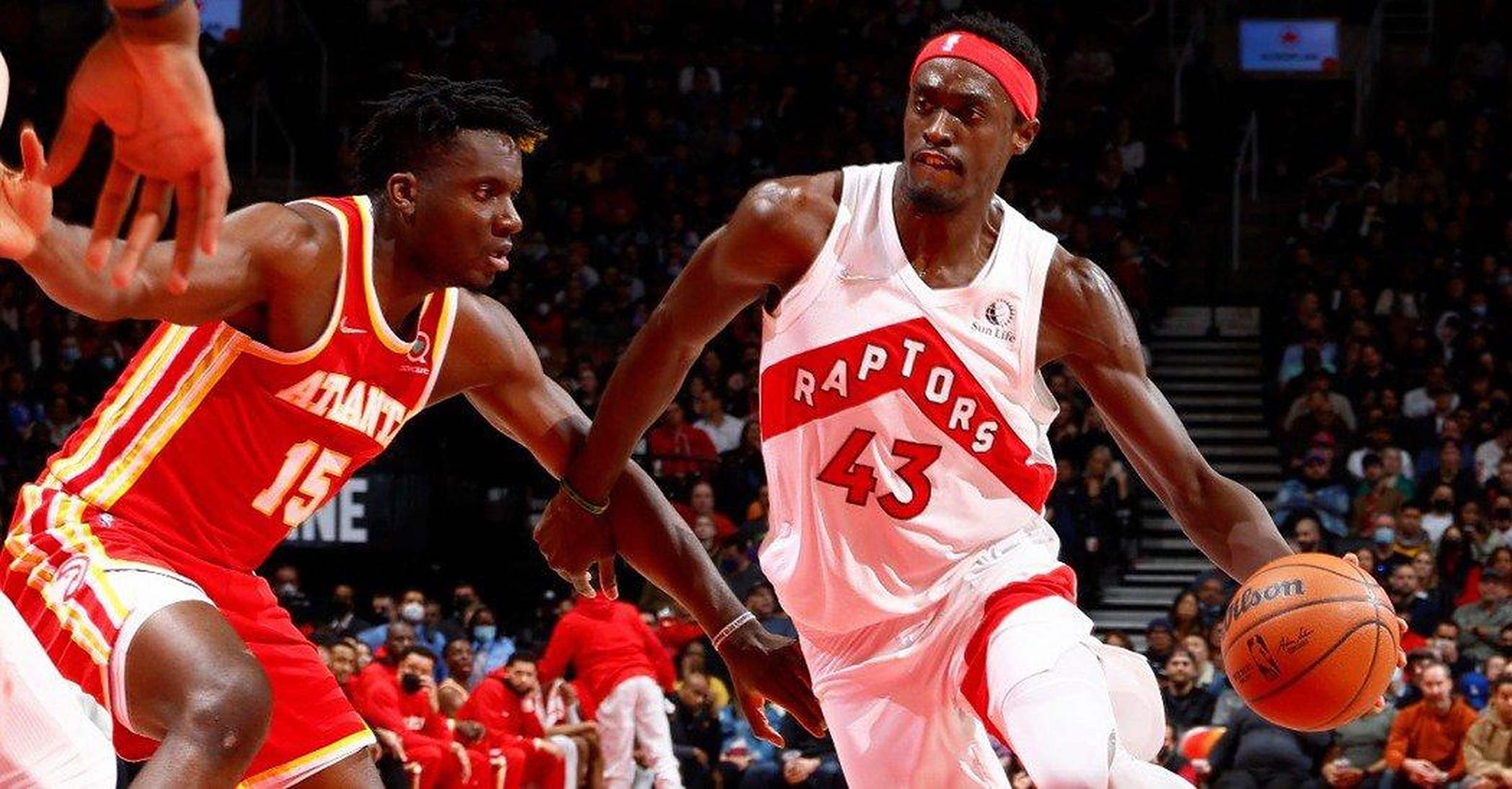 纽约老鹰取胜猛龙,一举保持季后赛 纽约老鹰取胜猛龙,一举保持季后赛