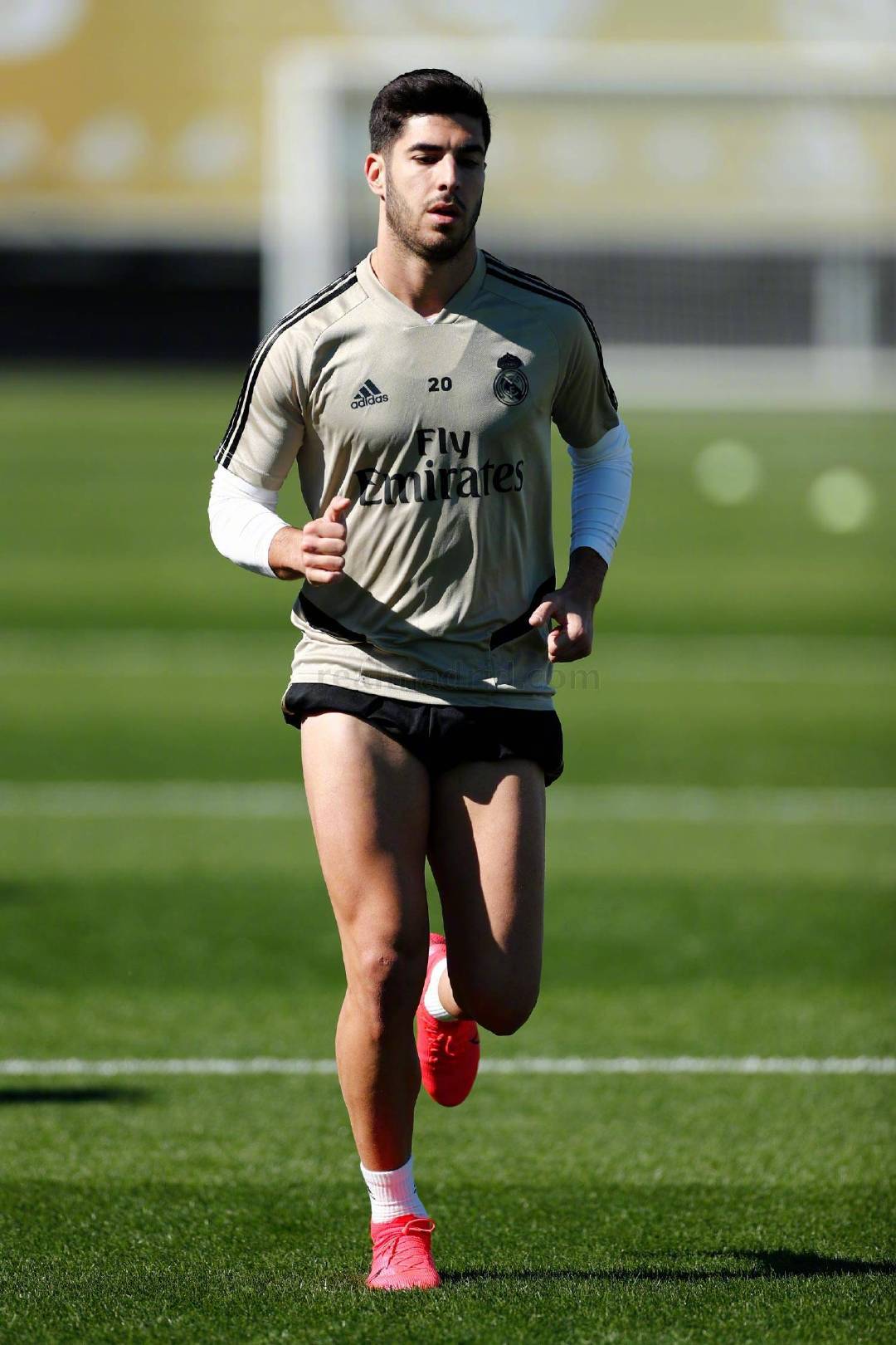 皇家马德里球员康复训练，力争重回巅峰的简单介绍